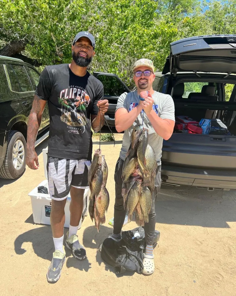 中逐步控制 中逐步控制