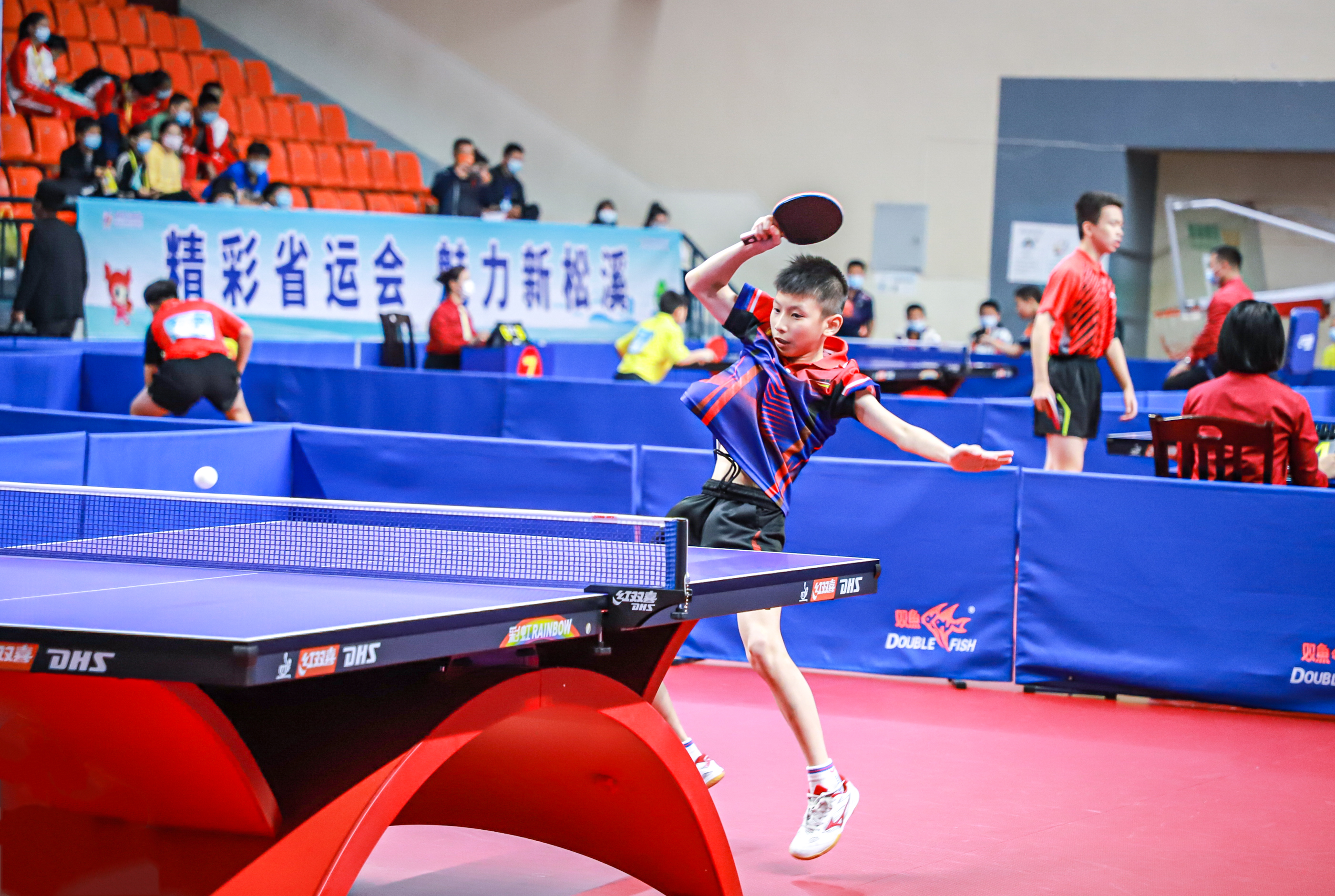 选择似乎都 选择似乎都